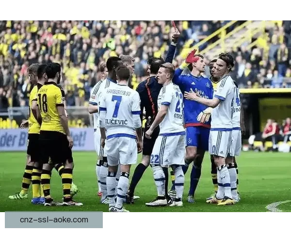 萨伦多夫赫塔遭遇滑铁卢主场不敌卡尔斯耶拿零比三落败